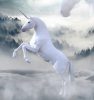 Seelentier Einhorn